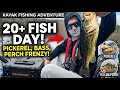 Kayak Fishing the Bonafide P127: 20+ Fish Day (Bass, Pickerel, Perch)