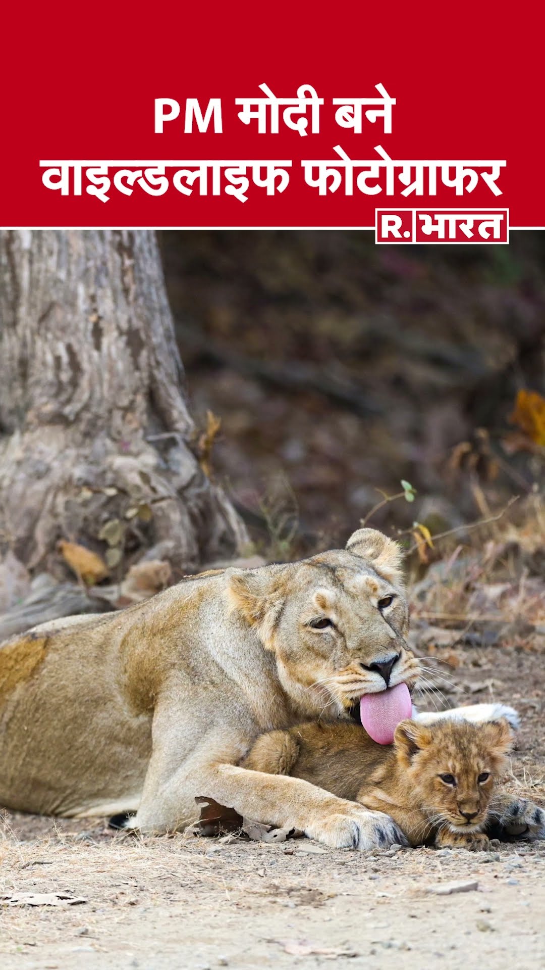 Gujarat के Gir National Park में PM Modi का रोमांचक सफर | Wildlife Day