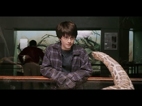 all-parseltongue-scenes-in-harry-potter