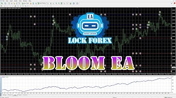 FREE DOWNLOAD EA FOREX (BLOOM EA)