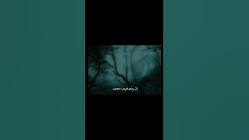 اسْتَغْفِرُوا رَبَّكُمْ ثُمَّ تُوبُوا إِلَيْهِ | محمد صديق المنشاوي | سورة هود