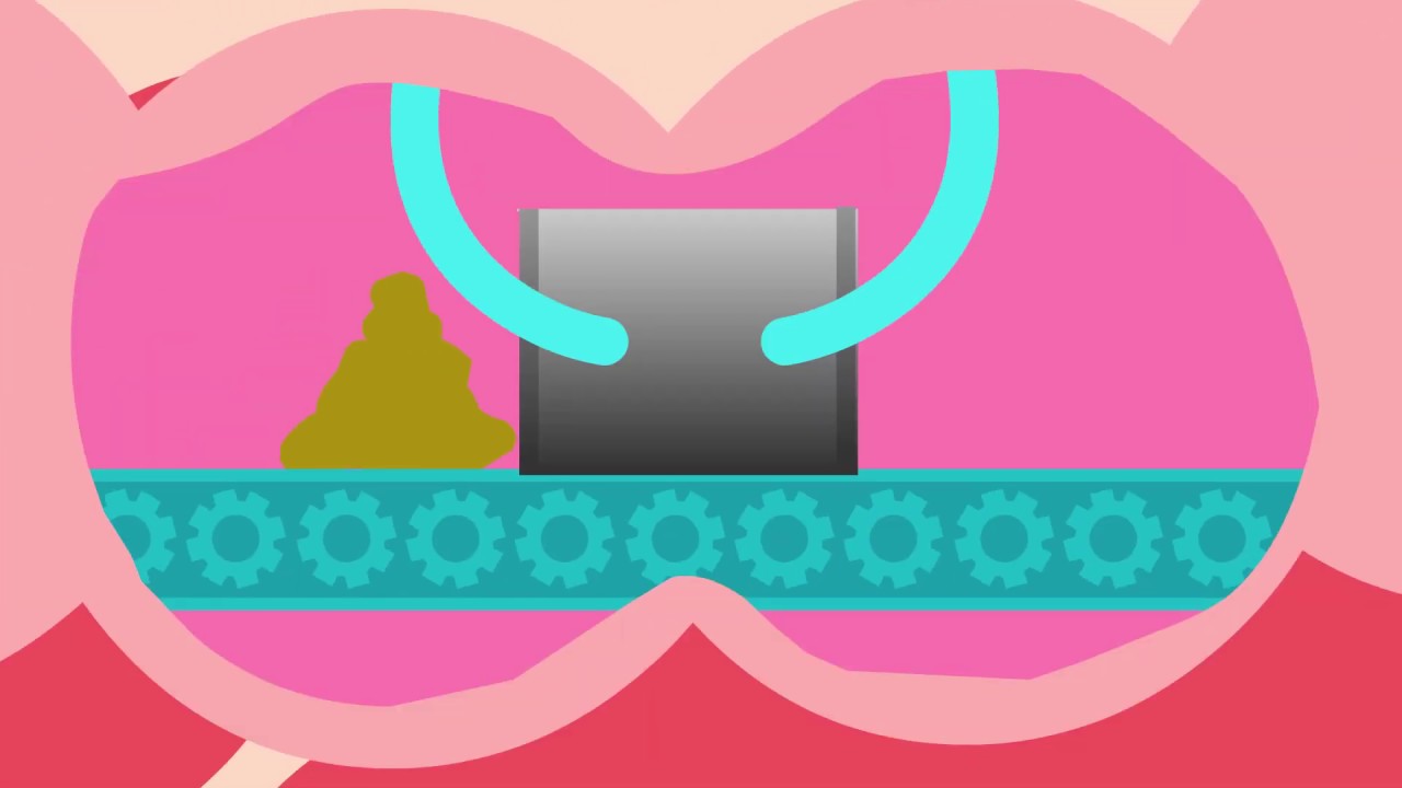 Episode 5: How does my Tummy turn food into poo?