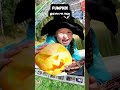 Pumpkin Palooza: 10 Quick Pumpkin Facts 🎃📚#youtubeshorts  #halloween #shortvideo #viral #facts #virl