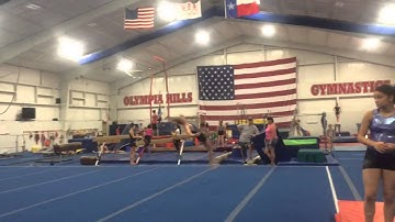 Riggins Woodward - Floor - roundoff 1 1/2 front layout full