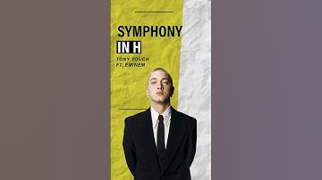 Tony Touch - Symphony In H #shorts #eminem #slimshady