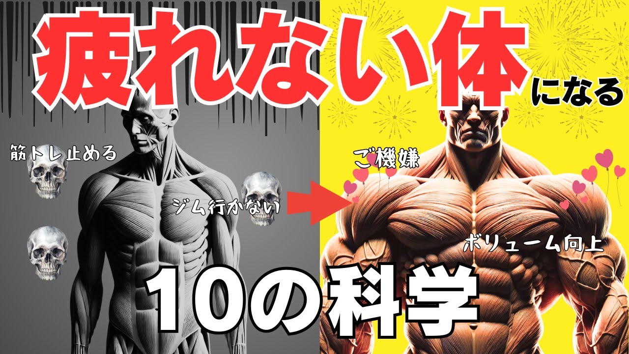 【筋トレ科学】神経疲労を確実にとる10の方法　~疲れない身体を造る~