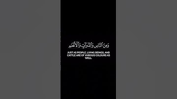 سورة فاطر _ الآية 27 _ تلاوة رائعة _ ❤️📖🤲