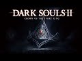 Dark Souls 2: The Final Crown Awaits