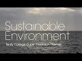 Sustainable environment research theme at trinity