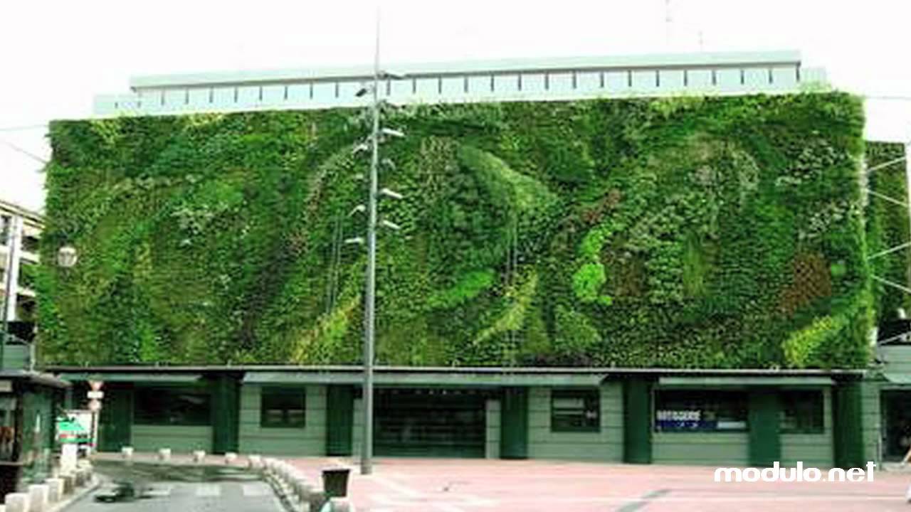 Modulo: giardini verticali youtube Giardino in verticale