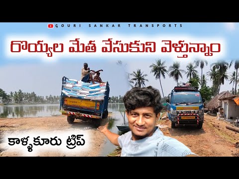 రొయ్యల మేత వేసుకుని వెళ్తున్నాం..#gourisankartransports #tataintrav30 #tataintrav30 #bhimavaram