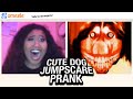 Cute Dog JUMPSCARE PRANK on Omegle #7!