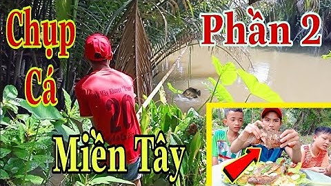 Mây Channel | Chụp Cá Miền Tây Phần 2