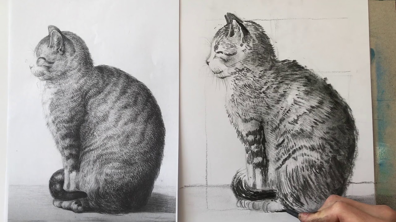 RYSUJEMY KOTA WĘGLEM