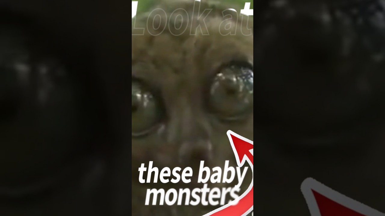 Not every animal baby is cute!