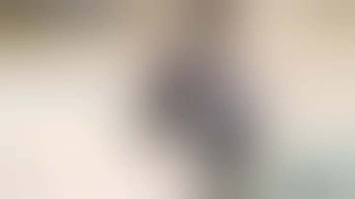 Combat / Fight G. Roch vs S. Roy, LNAH, 20-12-13