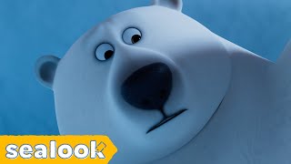 How I Met This Polar BearㅣPolar Bear SpecialㅣSealookㅣEpisodes Compilation