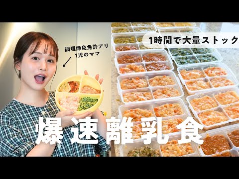 [Super Fast] Tips for making a large batch of baby food for two weeks in just one hour! [Late Sta...