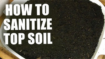 How To Sanitize Top Soil For Reptiles, Amphibians, And Invertebrates