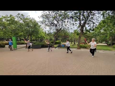 Taichi abanico, ejercicio