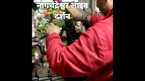 उज्जैन श्री महाकालेश्वर नागचंद्रेश्वर लाइव दर्शन