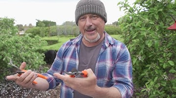 The Difference Between Bypass Secateurs And Anvil Pruners