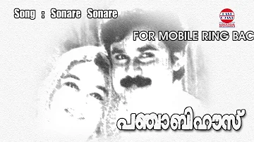 Punjabi House | Sonare Sonare | M.G.Sreekumar