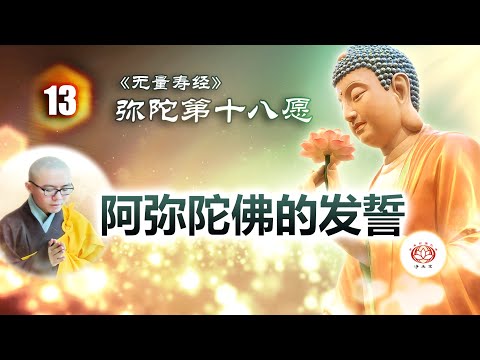 《无量寿经》弥陀第十八愿  第13讲 - 阿弥陀佛的发誓（若不生者，不取正觉） | 净本法师 主讲