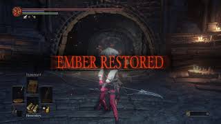 DS3 binoculars also work as intended