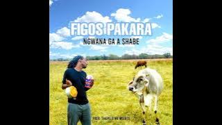 FIGOS PAKARA - Ngwana Ga A Shabe( prod by Thapelo Wa Mojuta).Audio