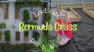 Control Bermuda Grass in a Raised Garden | Did It Work?
