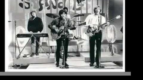 The Standells - Sometimes Good Guys Don't Wear White