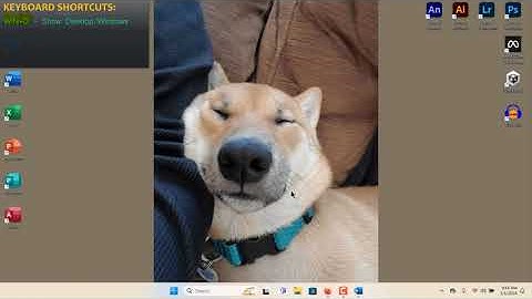 Windows - Multiple Desktop Instances (Virtual Desktop)