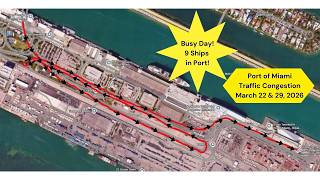 Port of Miami Traffic - Busy day with 9 ships in port