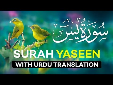 Surah Yasin Yaseen Full By Qari Abdul Rahim With Urdu And English Translation HD سورۃ یس