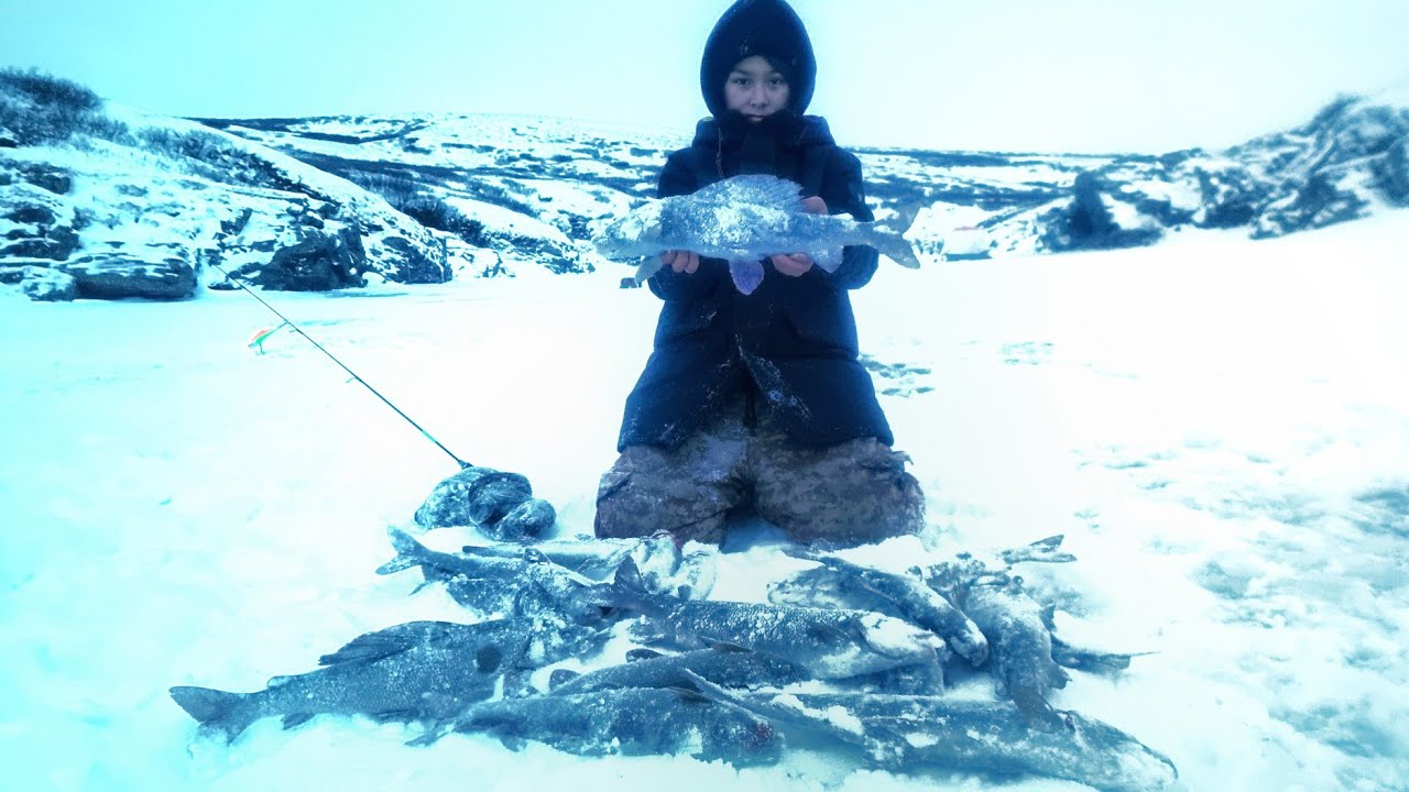 Сибирия рыбалка последние видео 2024 года. Костюм huntsman siberia reflect. Сибирия рыбалка последние видео 2024 года. Рыбалка в якутии. Рыбалка сибирия новое 2023 год.