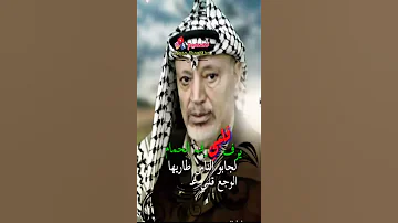 دحية يرف قلبي رف الحمام 2019 