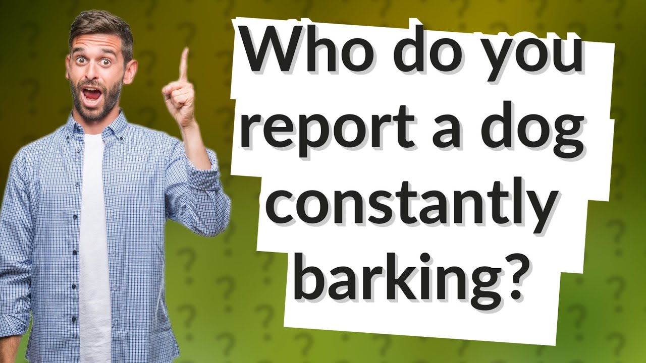 Who do you report a dog constantly barking? YouTube