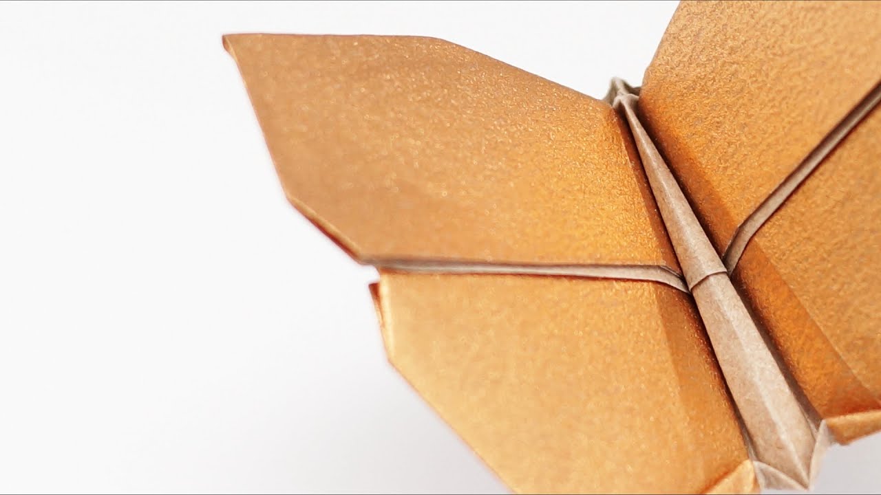 Origami Butterfly Timelapse (Jo Nakashima) YouTube