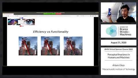 Perceptual invariance in Humans and Machines