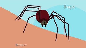 Đột biến gen là gì? Đột biến gen ảnh hưởng sức khỏe như thế nào?