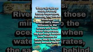 #DidYouKnow / "Ever wonder why sea water tastes salty?