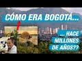 ¿CÓMO ERA BOGOTÁ HACE MILLONES DE AÑOS?