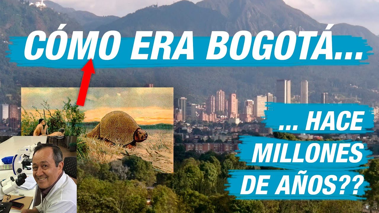 ¿CÓMO ERA BOGOTÁ HACE MILLONES DE AÑOS?