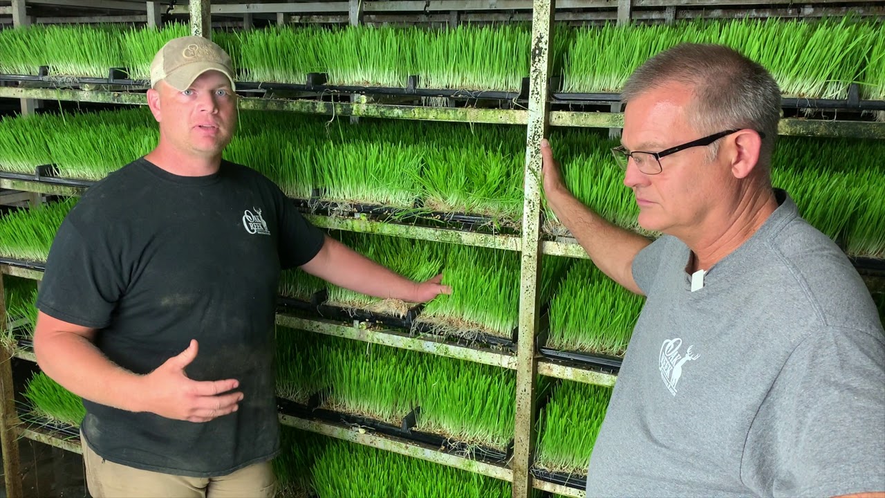 Fodder Works System at Oak Creek Whitetail Ranch