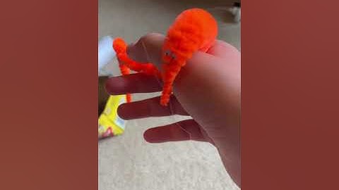 How to care for a pet squirmel (worm on a string)