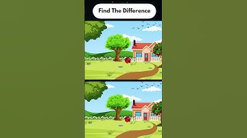 "Find the Difference Challenge: Test Your Observation Skills!" #shorts