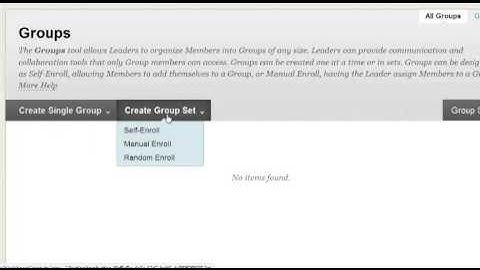 Blackboard 9.1.13: Create Groups within an Organization