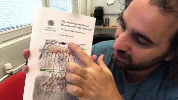 OLMα2 Cells and Their Role in Learning