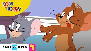 Tom and Jerry: Pest Control | Cartoonito Africa